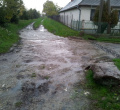 foto jul-august.2012 003 (2)