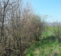 Prezentacia 083
