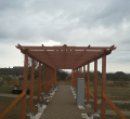 DSC00574.JPG