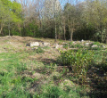 DSC00408.JPG