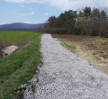 DSC00503.JPG