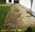 foto.apríl.2013 226