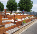 Prezentacia 6841