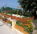DSC02253.JPG