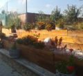 DSC02255.JPG
