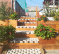 DSC02257.JPG