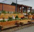 DSC02256.JPG