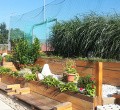 DSC02263.JPG
