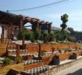 DSC02264.JPG