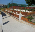 P1060230