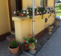 P1060239