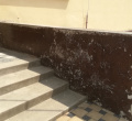 P1060259