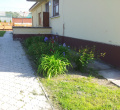 P1060298