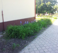 P1060297
