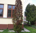 P1060403