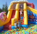 DSC02356.JPG