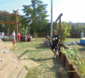 DSC02380.JPG