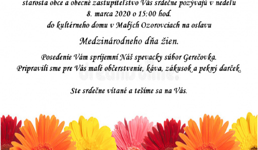 MDŽ - 2020 